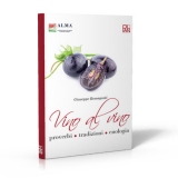 Vino al vino – proverbi – tradizioni – enologia Vino al vino – proverbi – tradizioni – enologia